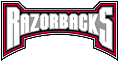 Arkansas Razorbacks 2001-2008 Wordmark Logo v5 iron on transfers for fabric